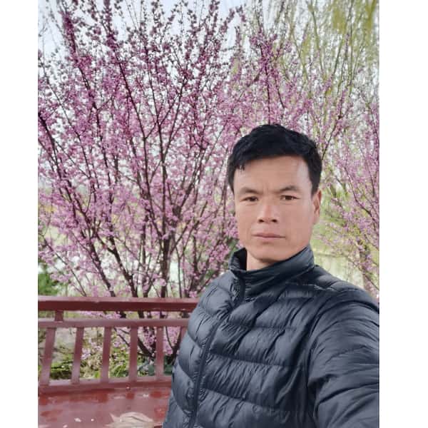 江苏50岁单身帅哥真诚找对象-喀什征婚相亲网