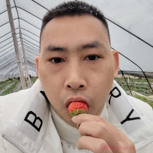 喀什征婚相亲网